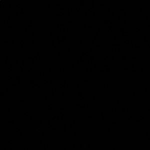 Meet your Posher, Dynasty